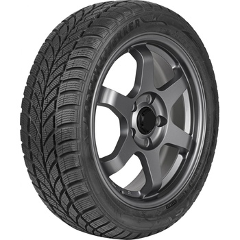 Maxxis WP05 205/65 R15 99H