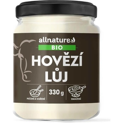 Allnature Kombucha zázvor BIO 330 ml – Zboží Dáma