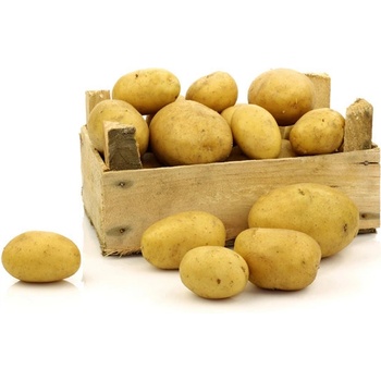 Brambory Odruda Belana (brambor Belana, plísni bramborové, případě potřeby, provzdušnění porostu) Brambory Odruda Belana