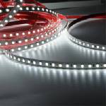 Lightex Led ЛЕНТА 2835 24v dc 9.6w 4000k ip68 (3800883145259)