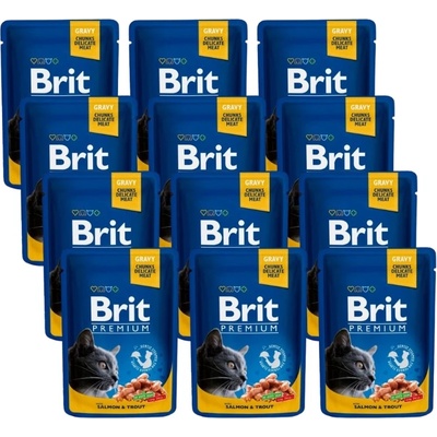 Brit Cat СЪМГА и ПЪСТЪРВА 12x100г