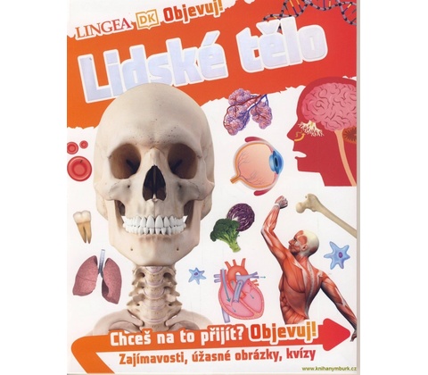 Lidské tělo