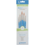 Princeton Artist Brush Selectartiste Multi-Technique Комплект кръгли четки 5 бр (P3750SET110)