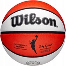 Wilson NBA Authentic Indoor