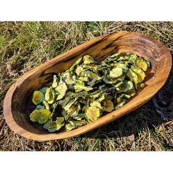 Вълшебната гора " Вълшебната гора" - Сушени краставици, 50гр