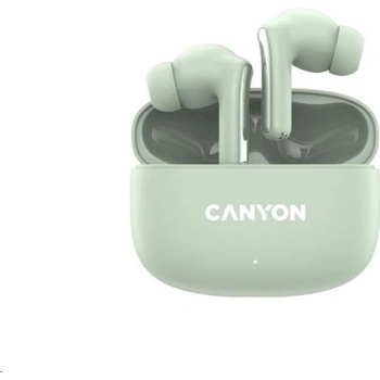 Canyon TWS-9