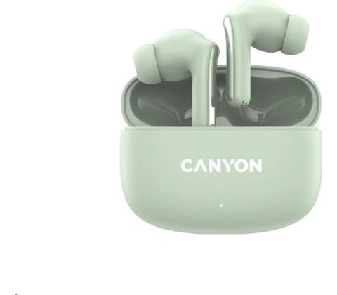 Canyon TWS-9