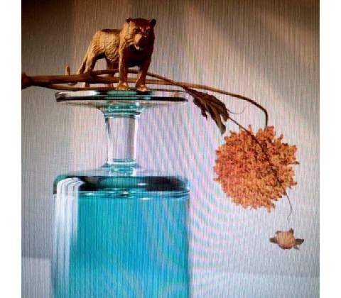 BEIRUT - GALLIPOLI LP