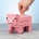 Minecraft Pig