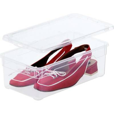 Rotho úložný box Clearbox 5L