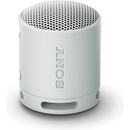 Sony SRS-XB100H