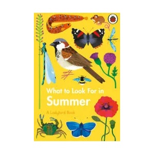 What to Look For in Summer | Elizabeth Jenner (ISBN: 9780241416204)