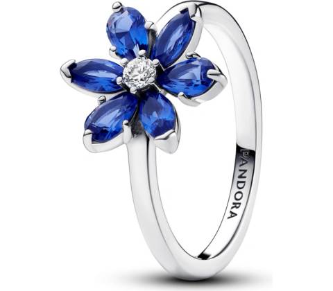 Pandora 193000C01