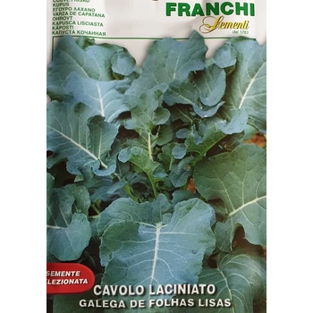 FRANCHI Кейл с Гладки листа Galega De Folhas Lisas