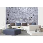 DIMEX ART Самозалепваща се флизелинова фототапета зимна гора 375 x 250 см