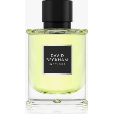 David Beckham Instinct parfumovaná voda pánska 75 ml tester