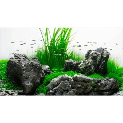 Amtra pozadie Amazonia 60 x 30 cm