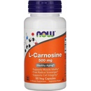 Doplnky stravy Now Foods L-Karnosín 500 mg 50 kapsúl