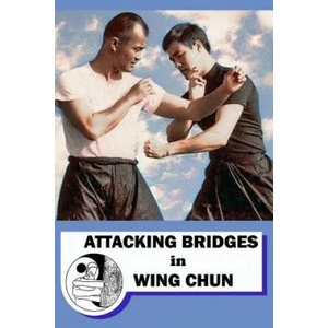 Attacking bridges in Wing Chun | Semyon Neskorodev (ISBN: 9781974281534)