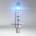 OSRAM Cool Blue Intense - H1 - 64150CBI / 55W / 12V (H1 - 64150CBI)
