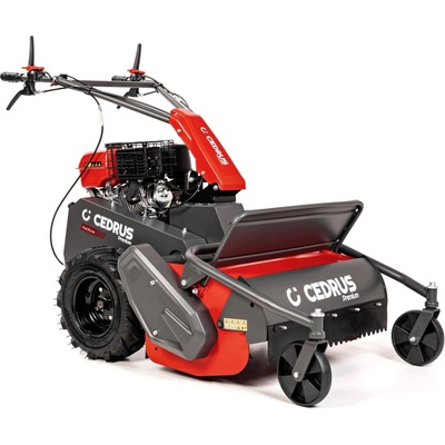 CEDRUS FM70-W