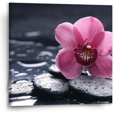 Sablio Obraz Orchidej - 50x50 cm