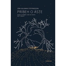 Príbeh o Áste - Jón Kalman Stefánsson