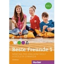 Učebnice Beste Freunde A1.1 CZ verze - pracovní sešit s CD-ROM