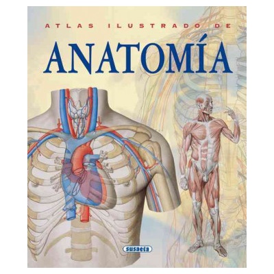 Atlas ilustrado de anatomía (Adriana Bigutti)(Brožovaná)