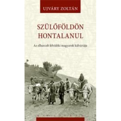 Szülőföldön hontalanul