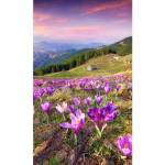 DIMEX ART Флизелинов фототапет минзухари през пролетта 150 x 250 см