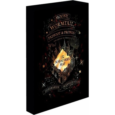 Paladone Svítící obraz Harry Potter - Pobertův plánek