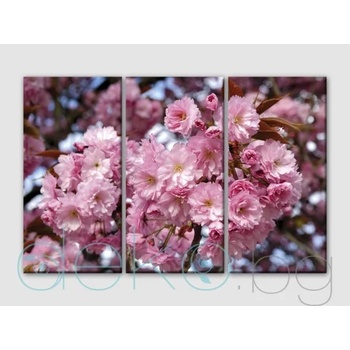 Image 1 of Японска вишна - 3 части (30052)