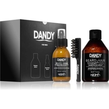 Dandy Beard šampon na vlasy a vousy 300 ml + balzám na vousy 100 ml + kartáč na vousy dárková sada