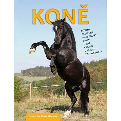 Koně