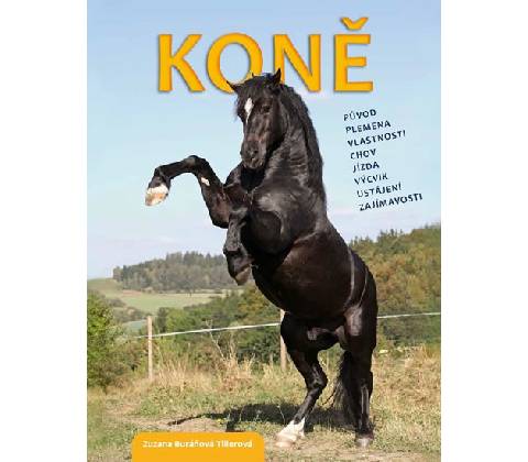 Koně