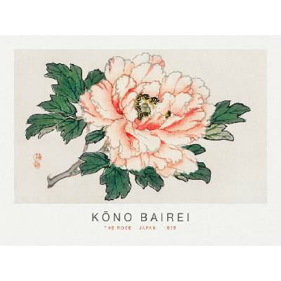 autor Plagát, Obraz - The Rose (Special Edition Japandi) - Kōno Bairei, 40 × 30 cm