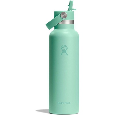 Hydro Flask 21 oz Standard Flex Straw Cap mermaid green 621 ml