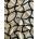 Ellipse ivory