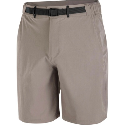 Salomon Wayfarer 2.0 short M sivá
