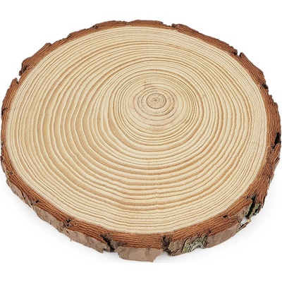 Prima-obchod Přírodní dřevěné kolečko / podložka k domalování a dotvoření Ø16 cm, barva přírodní