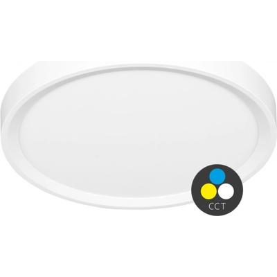Ecolite W007-CCT/50W/BI