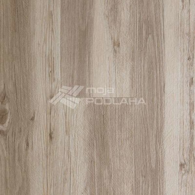 Winflex Pro Borovica Forest 1022 2,754 m²
