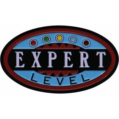 Wizards of the Coast Magic The Gathering Expert Level Pin Badge Limited Edition