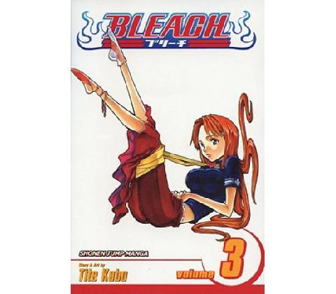 Bleach, Vol. 3