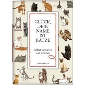 Glück, dein Name ist Katze | Julia Gerigk (2024)