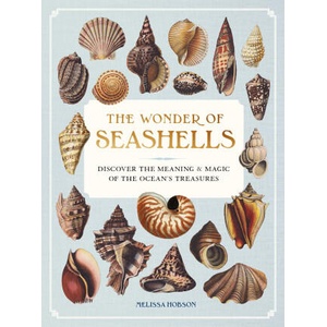 WONDER OF SEASHELLS (2025)