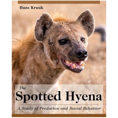 Spotted Hyena