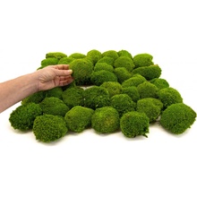 Stabilizovaný kopečkový mech MINI Ball Moss Canopy | Světle zelený | 50g