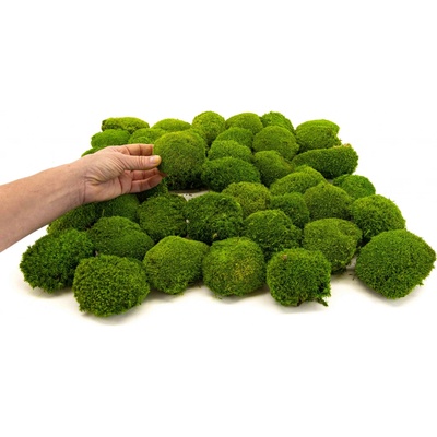 Stabilizovaný kopečkový mech MINI Ball Moss Canopy | Světle zelený | 50g